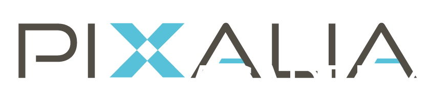 Pixalia Academy